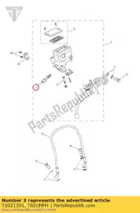 triumph T2021301 piston set m/cyl 15.875 - Bottom side