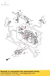 Here you can order the o ring from Suzuki, with part number 1357529G00: