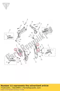 triumph T3203201 bolt, hhf, lghtd, m6x1.0x10, s / s - Il fondo