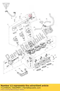 triumph T1244024 joint torique, injecteur - La partie au fond