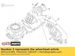 Aprilia AP0224389, Zespó? zaworu trzcinowego, OEM: Aprilia AP0224389