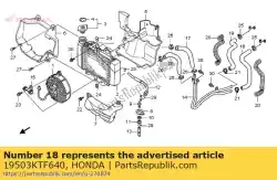 slang c, water van Honda, met onderdeel nummer 19503KTF640, bestel je hier online: