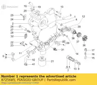 8725685, Piaggio Group, couvercle de carter de volant     , Nouveau