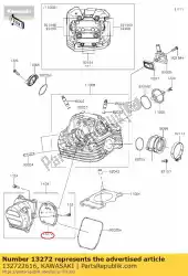 Here you can order the 01 plate from Kawasaki, with part number 132722616: