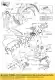 Tank-comp-fuel,m.f.e.tit zx636 Kawasaki 510010085725