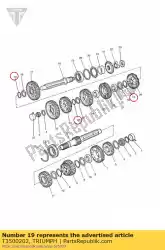 Tutaj możesz zamówić pier? Cie? Zabezpieczaj? Cy od Triumph , z numerem części T3500202: