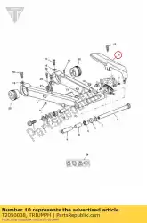 Here you can order the chainguard from Triumph, with part number T2050008: