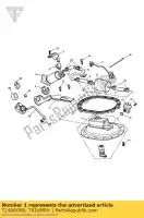 T2406008, Triumph, kit de placa de bomba e anel de vedação triumph america efi speedmaster efi 865 2007 2008 2009 2010 2011 2012 2013 2014, Novo