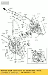 Qui puoi ordinare vite-pan-cros da Kawasaki , con numero parte 220AD0675: