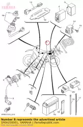 Here you can order the wire harness assy from Yamaha, with part number 1P6H259001: