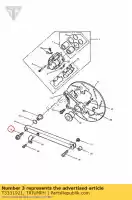 T3331921, Triumph, vis, tx, flgd, m10 x 47, slv triumph speed triple 1050, Nouveau