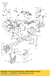 triumph T2500671 staffa relè - Il fondo