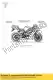 Decal bellypan Triumph T2301079