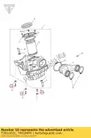 T3010031, Triumph, manga flangeada m6 triumph thunderbird thunderbird commander thunderbird lt thunderbird storm 1600 1700 2010 2011 2012 2013 2014 2015, Novo