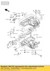 Here you can order the tensioner-comp from Kawasaki, with part number 391701063: