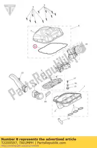 triumph T2200597 sello de la caja de aire - Lado inferior