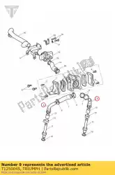 pijp montage van Triumph, met onderdeel nummer T1250045, bestel je hier online: