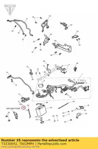 triumph T3330642 vite phillips m4 x 8 plastica - Il fondo