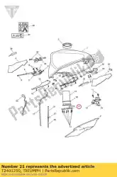 Here you can order the location plate, fuel pump from Triumph, with part number T2401250: