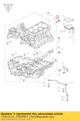 Here you can order the bolt, rhhf, m6x1. 0x12 s/s from Triumph, with part number T3203115: