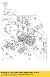 Here you can order the fuel rail assy from Triumph, with part number T1245018: