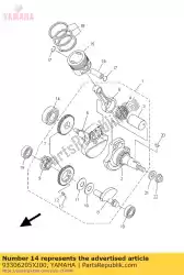 Here you can order the bearing from Yamaha, with part number 93306205XJ00: