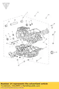 triumph T1160323 coque, brg principal - La partie au fond