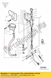 Here you can order the hose from Triumph, with part number T2020416: