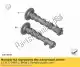 Camshaft exhaust BMW 11317729971