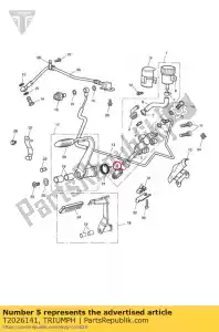 triumph T2026141 conjunto pushrod - Lado inferior