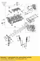 T1151563, Triumph, cilinderkop, 3 cilinder, montage triumph speed triple tiger 1050 1050 2007 2008 2009 2010 2011 2012 2013 2014 2015 2016, Nieuw