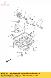 Here you can order the strainer, oil from Yamaha, with part number 4H7134110200: