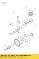 T1112001, Triumph, coquille de roulement triumph daytona 675 from vin 381275 daytona 675 from vin 564948 daytona 675 up to vin 381274 daytona 675 vin 381275 to vin 564947 daytona 675r from vin 564948 street triple street triple from vin 560477 street triple r street triple r from vin 560477 stre, Nouveau