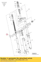 Qui puoi ordinare montaggio gamba della forcella r da Triumph , con numero parte T2049012: