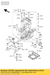 Here you can order the pipe-oil klx250-j2 from Kawasaki, with part number 391931018: