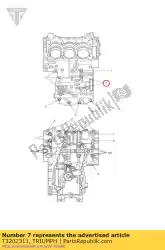 Ici, vous pouvez commander le boulon, hhf, m8x1. 25x130, slv auprès de Triumph , avec le numéro de pièce T3202311: