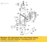 620685, Piaggio Group, Tuyau de livraison d'huile     , Nouveau