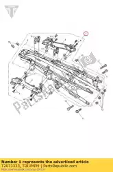 Here you can order the assy rear subframe from Triumph, with part number T2073333: