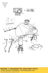 triumph T2401101HG t2401101-hg kit conjunto de tanque de combustible - Lado inferior