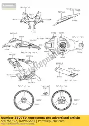 Here you can order the pattern,lwr cowl.,rh,lwr zx100 from Kawasaki, with part number 560751572: