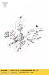 triumph T2026013 schroef m6 x 20 - Onderkant