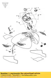 Tutaj możesz zamówić t2402232-jm zbiornik paliwa kpl od Triumph , z numerem części T2402232JM: