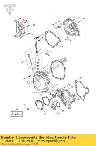 triumph T1260311 tampa, roda dentada - Lado inferior