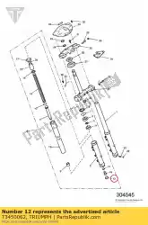 Qui puoi ordinare tappo in plastica nera da Triumph , con numero parte T3450062: