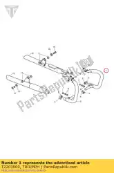 Aqui você pode pedir o conjunto de exaustão cil 1 lh em Triumph , com o número da peça T2203000: