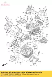 Here you can order the plate 2 from Yamaha, with part number 1TP1112F0000: