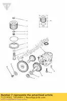 T1219000, Triumph, filtr oleju triumph sprint carbs thunderbird sport tiger 885 carbs > 71698 885 1993 1994 1995 1996 1997 1998 1999 2000 2001 2002 2003 2004, Nowy