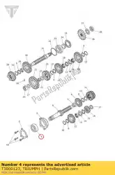 Here you can order the bearing ball 25 x 62 x 17 from Triumph, with part number T3800123: