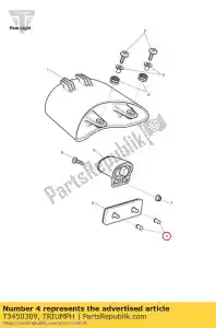 triumph T3450309 buisson, retenue - La partie au fond