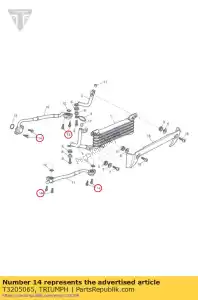 triumph T3205065 bolt, hhf, lghtd, m6x1.0x20, enc - Bottom side